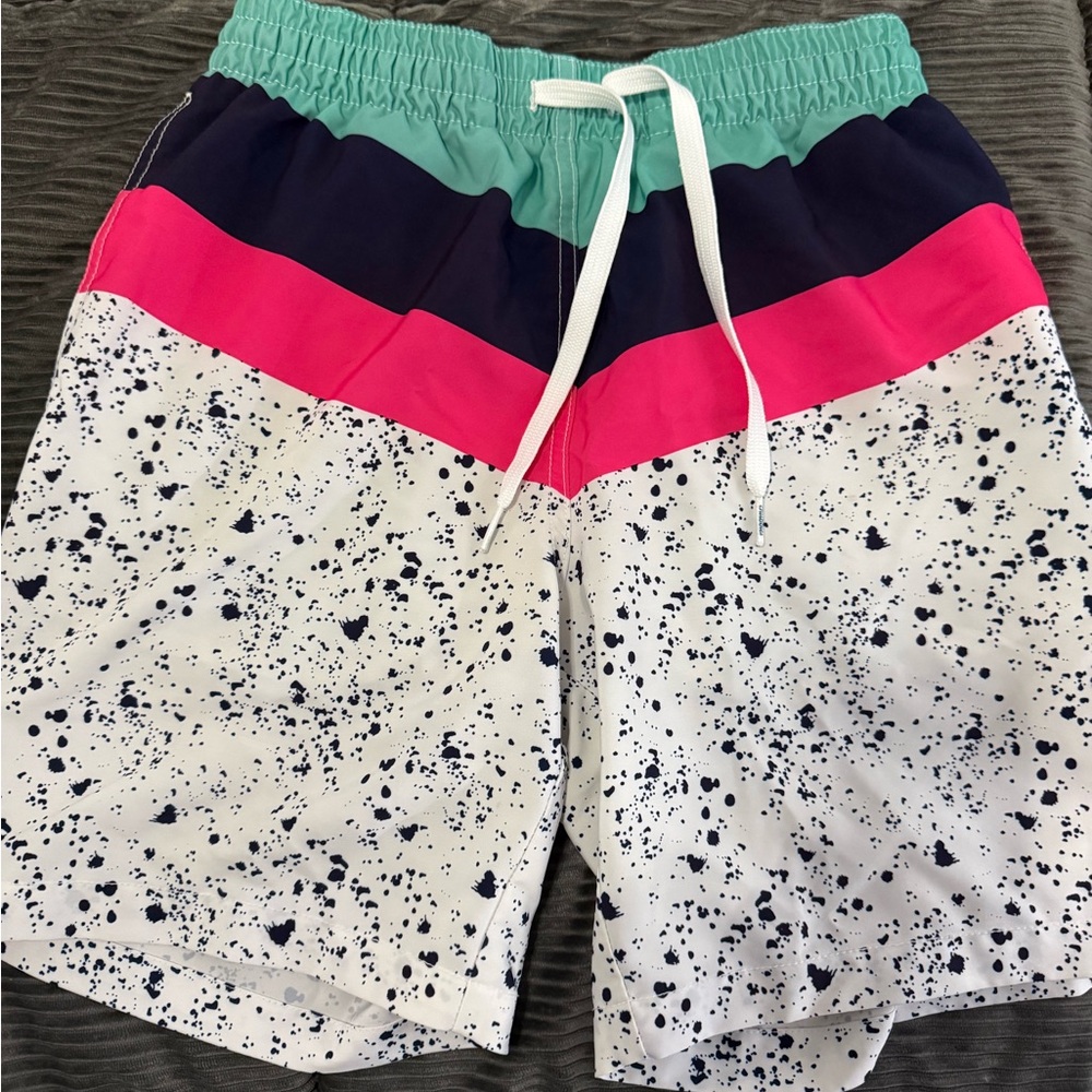 Chubbies Men's Swim Shorts